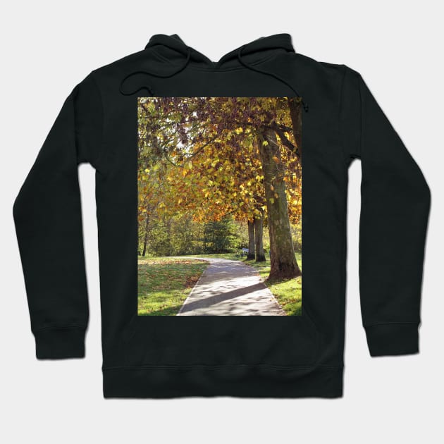 A Walk in the Park Hoodie by gracethescene